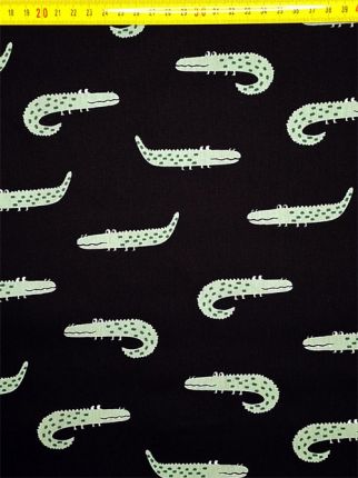 Alligator