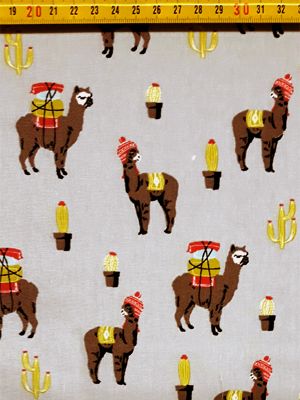 Alpaca